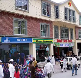 murree terminal