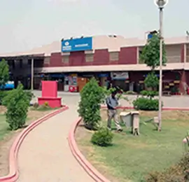 sadiqabad terminal